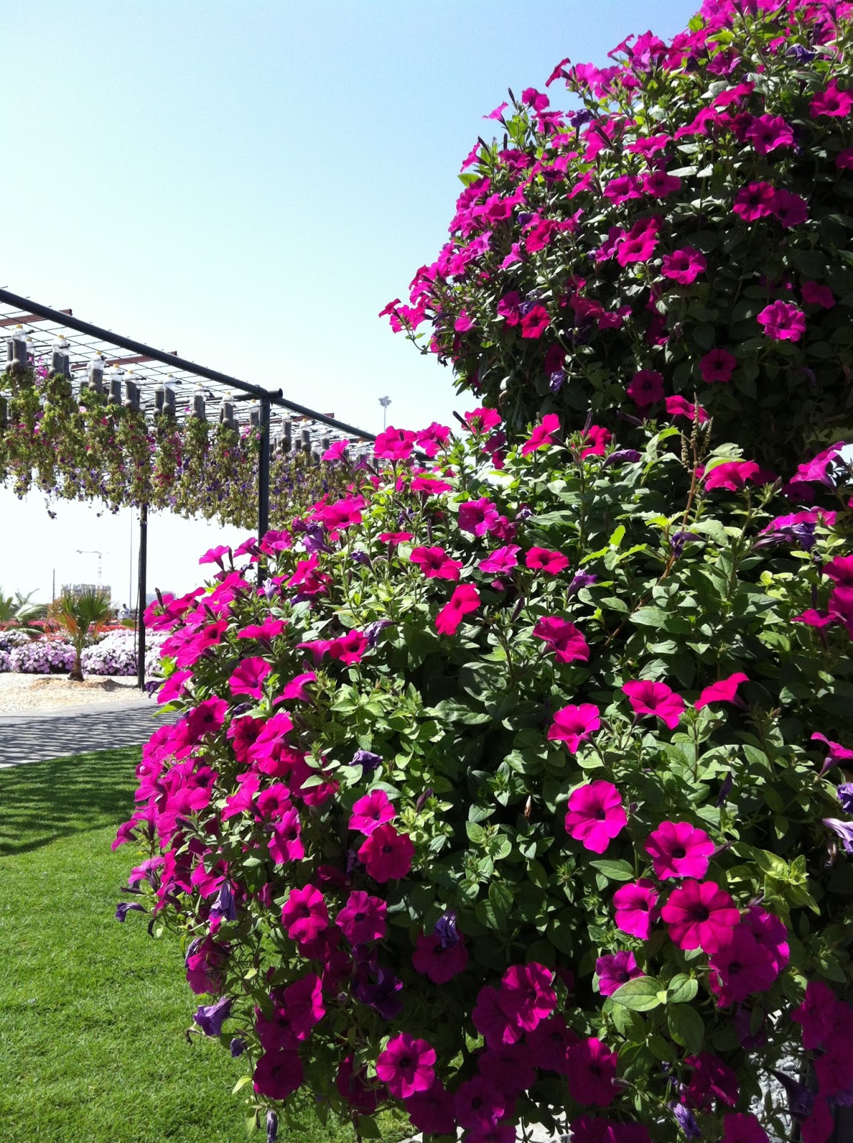 Flower Garden Miracle Garden Location Map