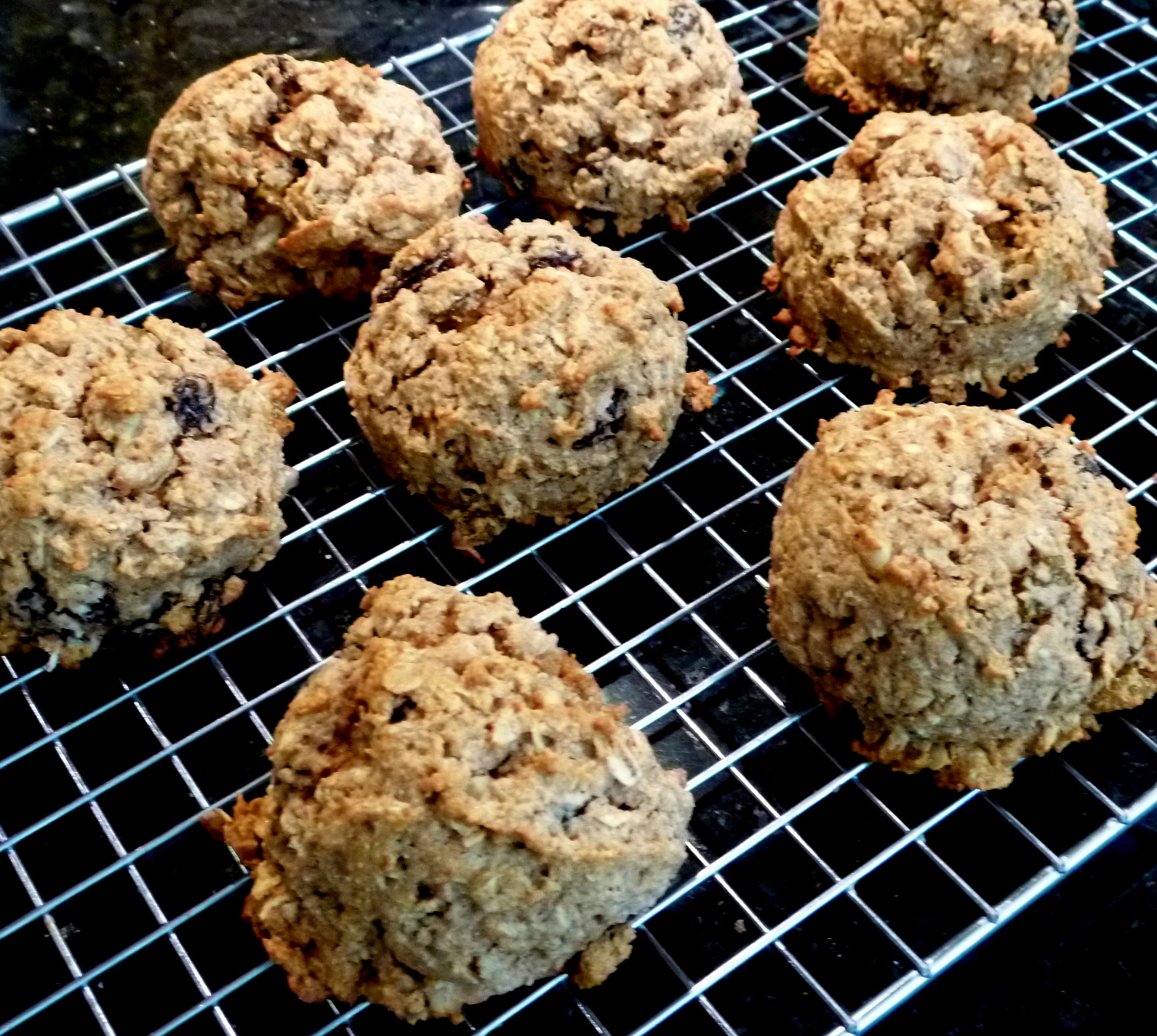 Oatmeal Treat Balls Fresh Eggs Daily®