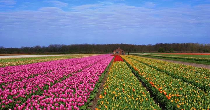 Jom Belajar Sejarah Kerajaan Agraria Bincangkan Ciri Ciri Utama Masyarakat Agraria Di Belanda