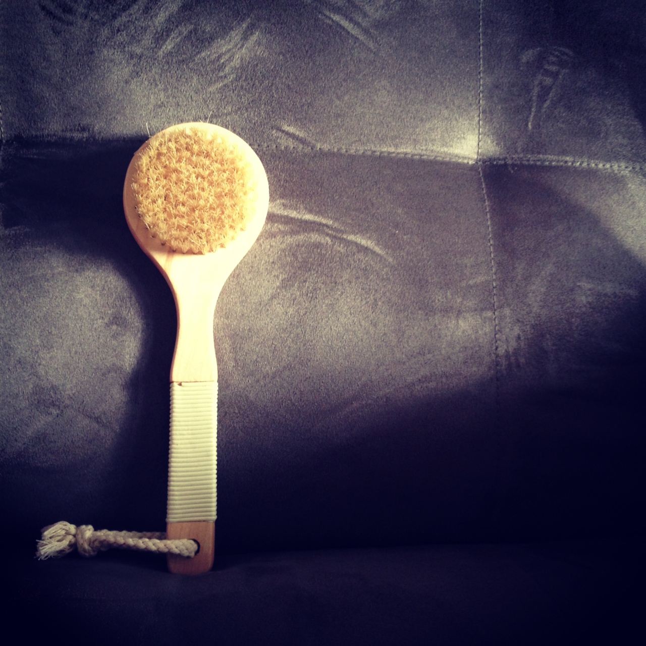 A Wife's Charmed Life The Dry Skin Brushing Experience
