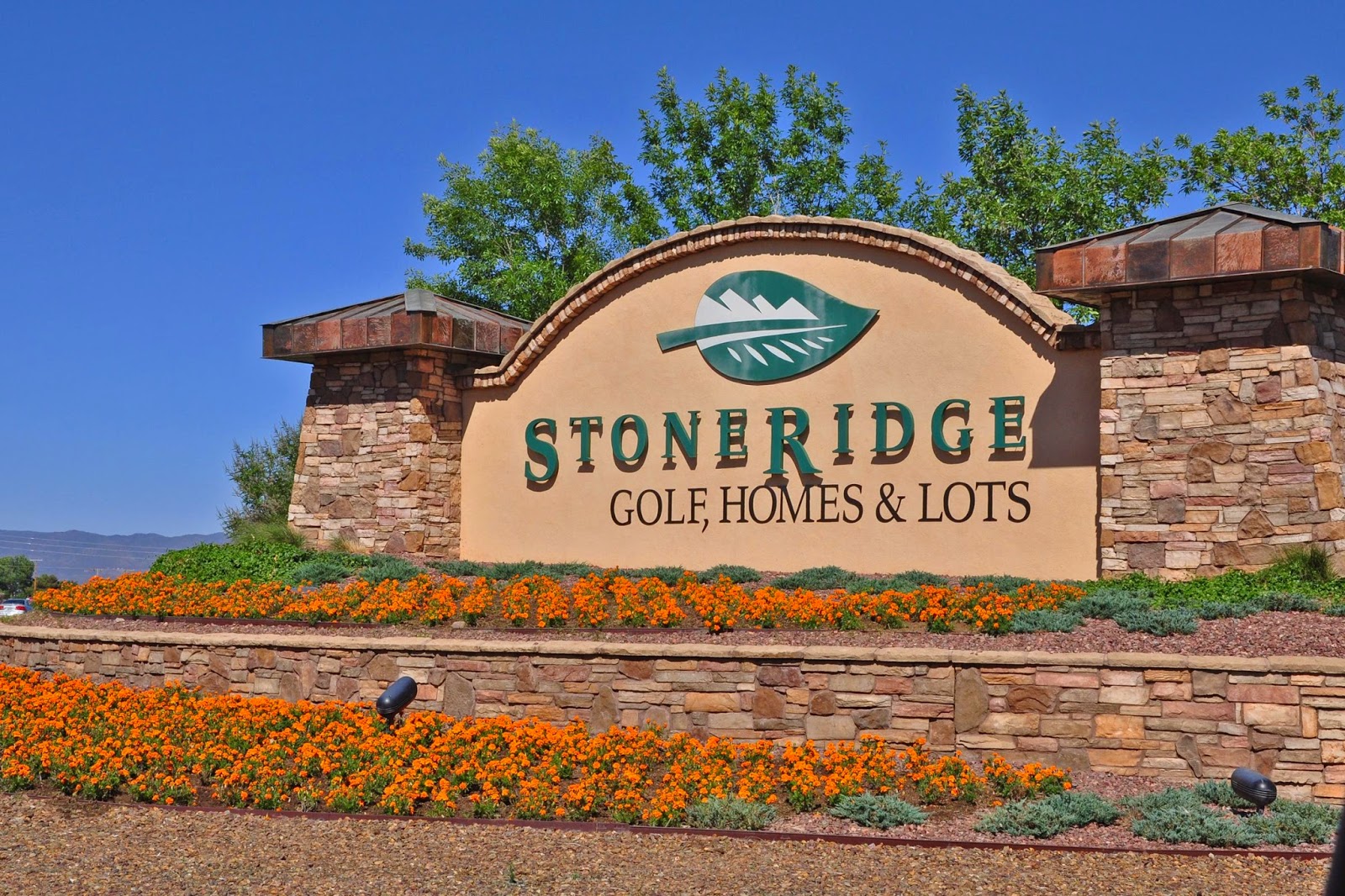 Team Maneely for HomeSmart Fine Homes and Land Stoneridge Family