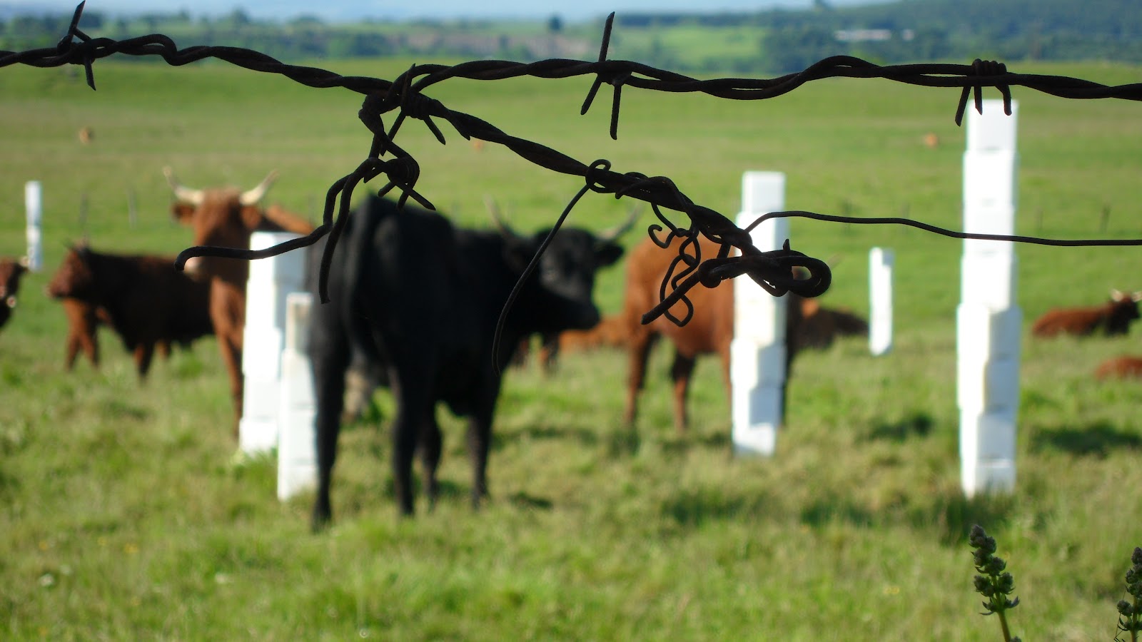 horizons rencontres arts nature
