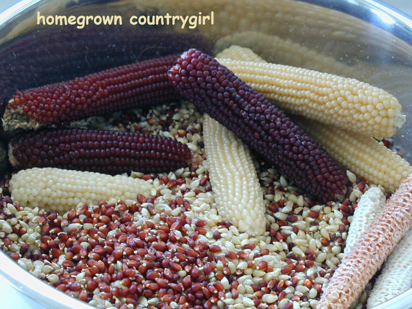 homegrown countrygirl Homegrown Popcorn!