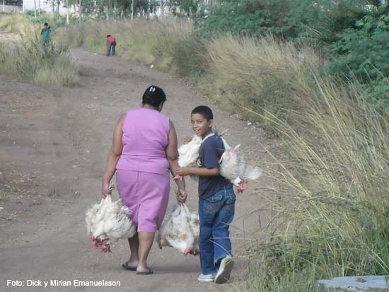 HISTORIA DE LA MUJER DESPEDAZADA historia de la mujer despedazada: