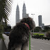 Fatty at KLCC.