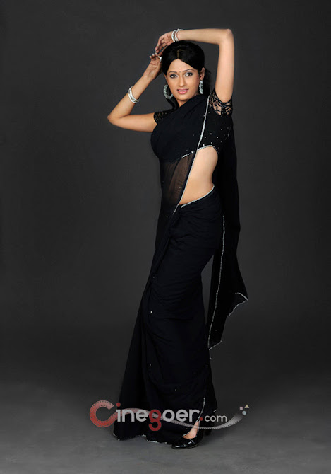 Brinda Parekh Saree Pics - Latest April 2012 - Famous Models Photoshoots - Famous Celebrity Picture 