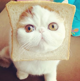 Interesting News Interesting News All People Must See The Cute