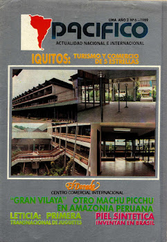 Revista Pacífico Nº 6