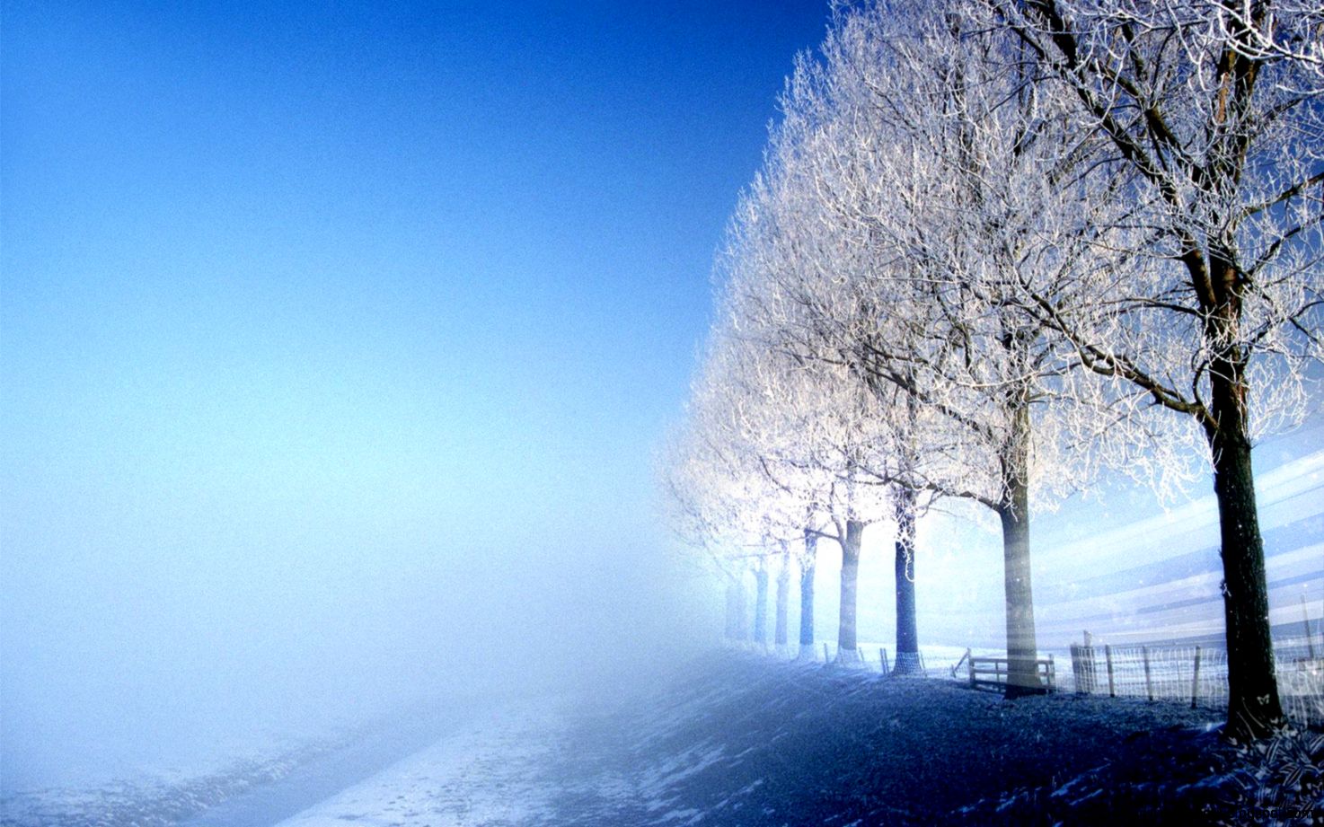 Wallpapers freezing winter trees tablet phone background popular Wallpapers freezing winter trees tablet phone background popular