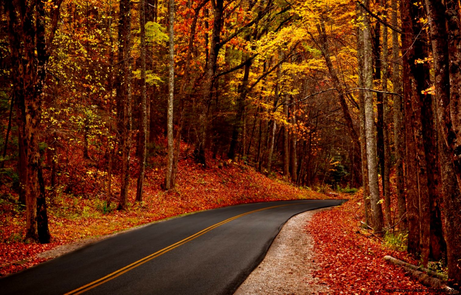 Autumn Leaves Road Wallpapers Collection Autumn Leaves Road Wallpapers Collection