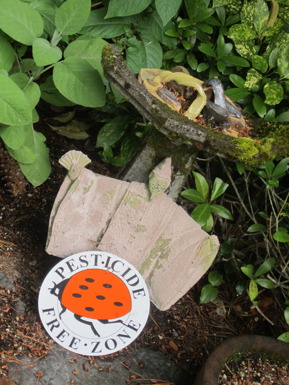 Sprouts Kathleen's Spectacular Shade GardenPortland, OR