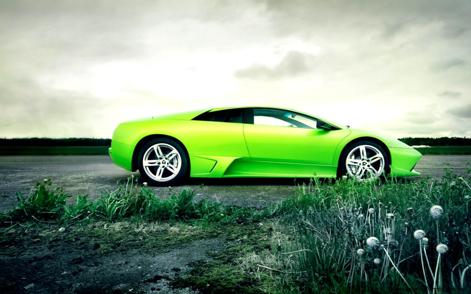 Green Lamborghini Murcielago Wallpaper 6984171 Green Lamborghini Murcielago Wallpaper 6984171