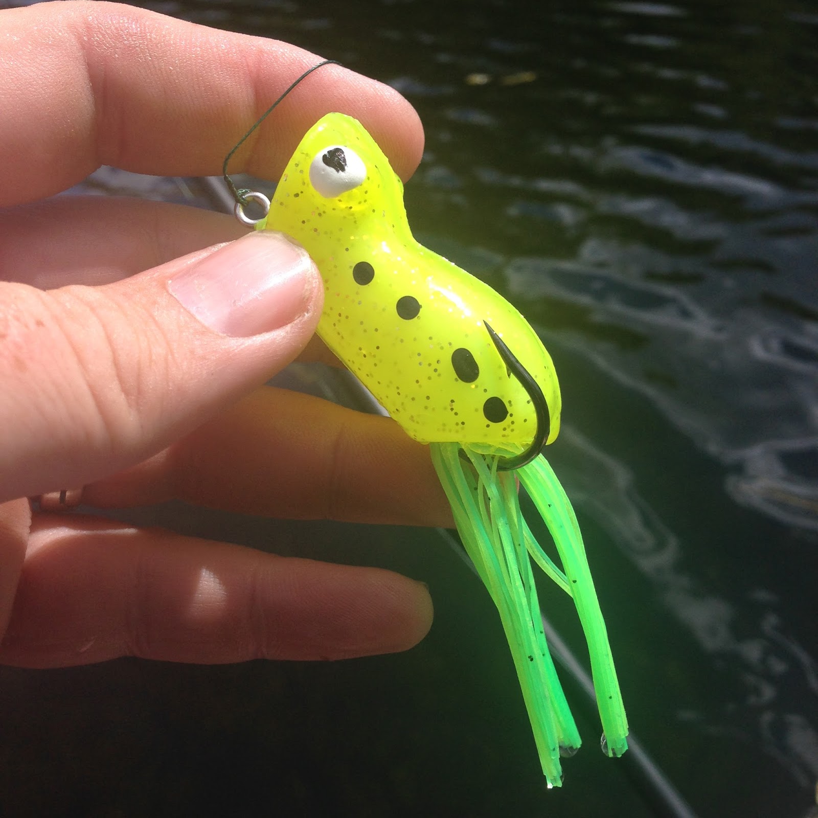 Bass Junkies Frog Pond: Snag Proof Pro Series Poppin Frog