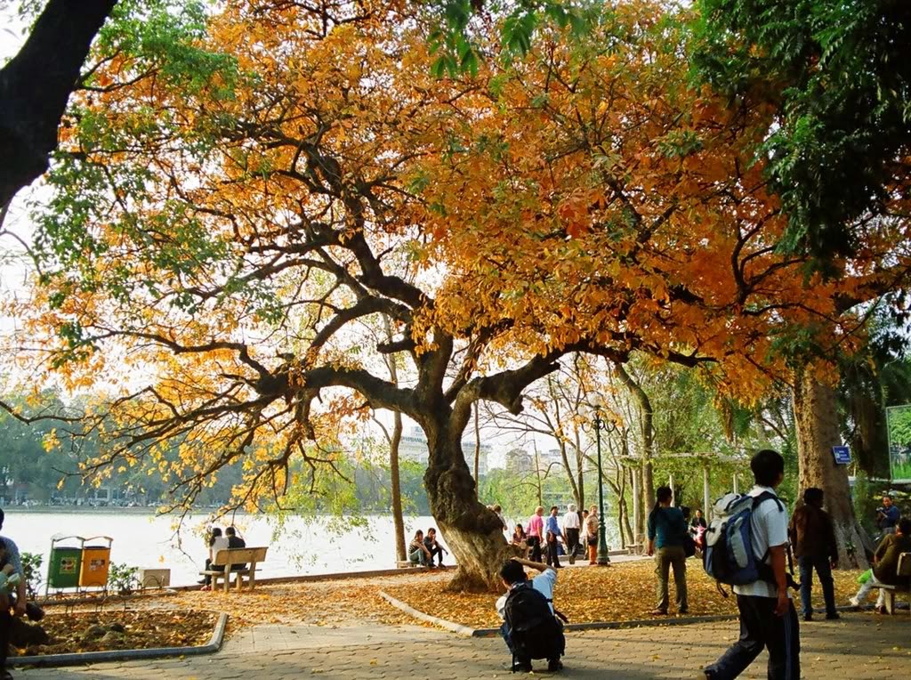 "Đất vàng" quanh Hồ Hoàn Kiếm "Đất vàng" quanh Hồ Hoàn Kiếm