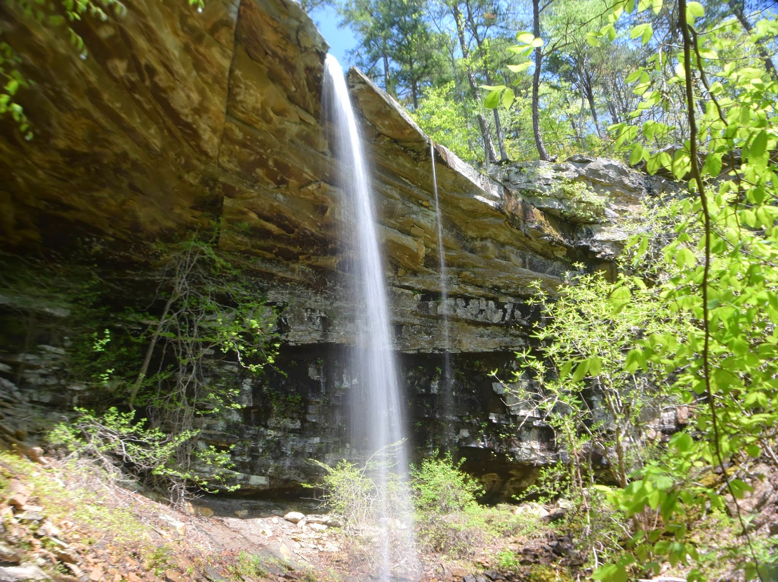 Rick's Hiking Blog Bull Falls, Sprinkler Falls, and Mrs. O'Leary's