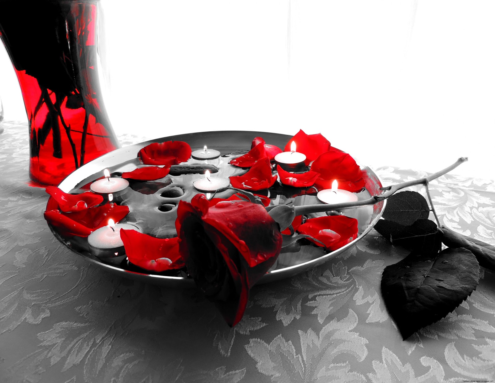 vibrance rouge Wallpaper vibrance rouge Wallpaper