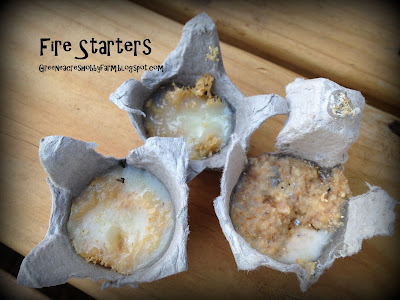 fire egg starters carton diy greene acres hobby farm wax each starter tear apart step cool