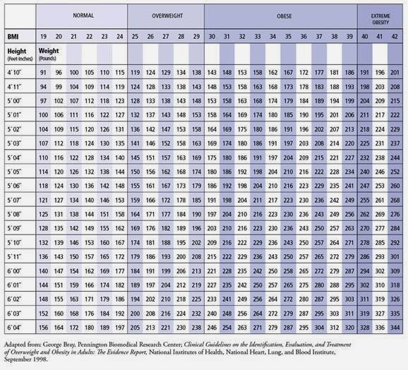 obesity chart