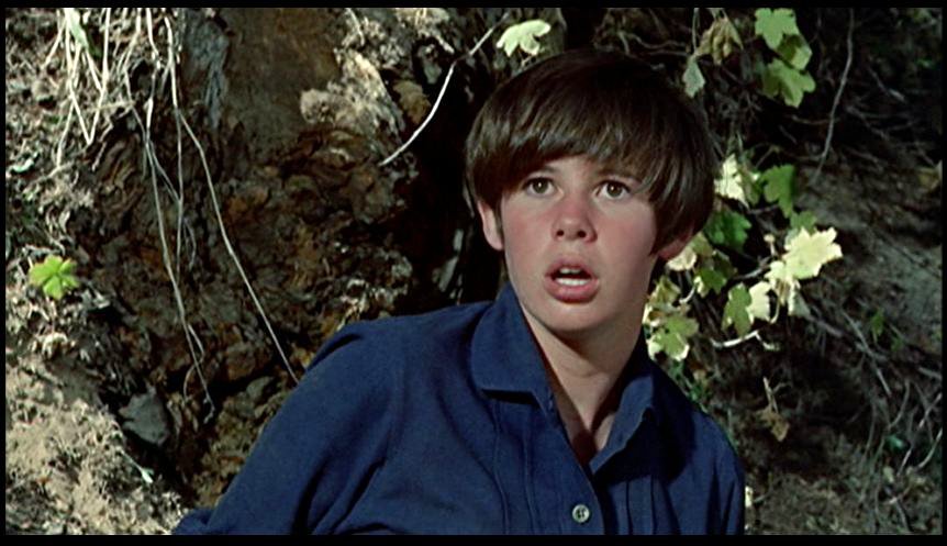 Kim Darby Young