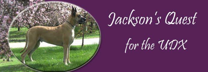 Jackson's Quest for the UDX