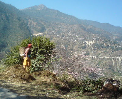 Pretty and shy village woman on the Himalyan roadway to Badrinath