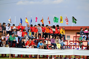 V Torneo Internacional Alevín 2011 ( 3/6 )