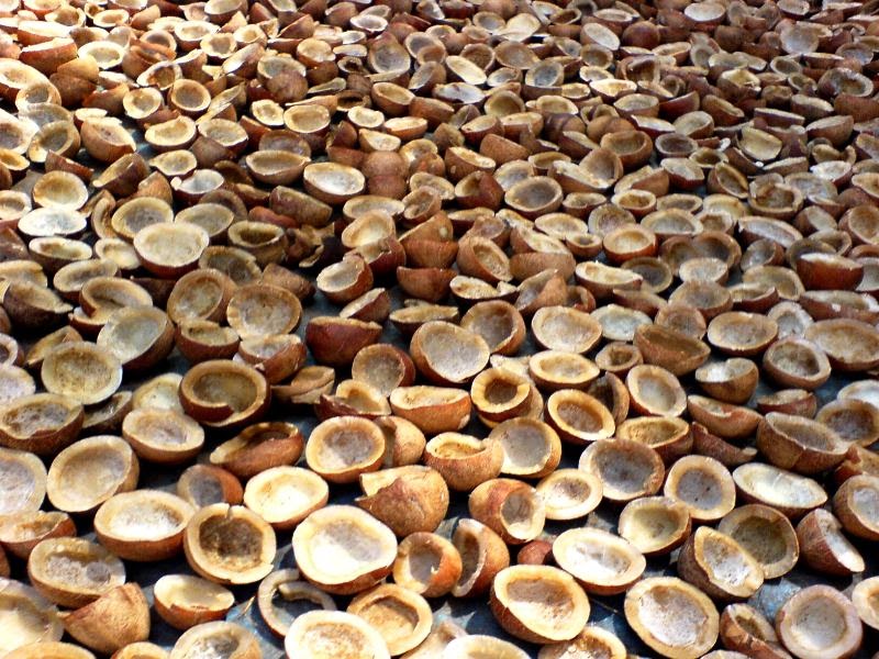 Six-layer coconut cake with passion fruit filling recipe BMU AGRI: Coconut Copra