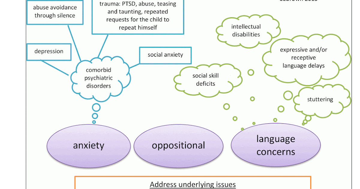 Susan's notes on school Helping Children with selective mutism