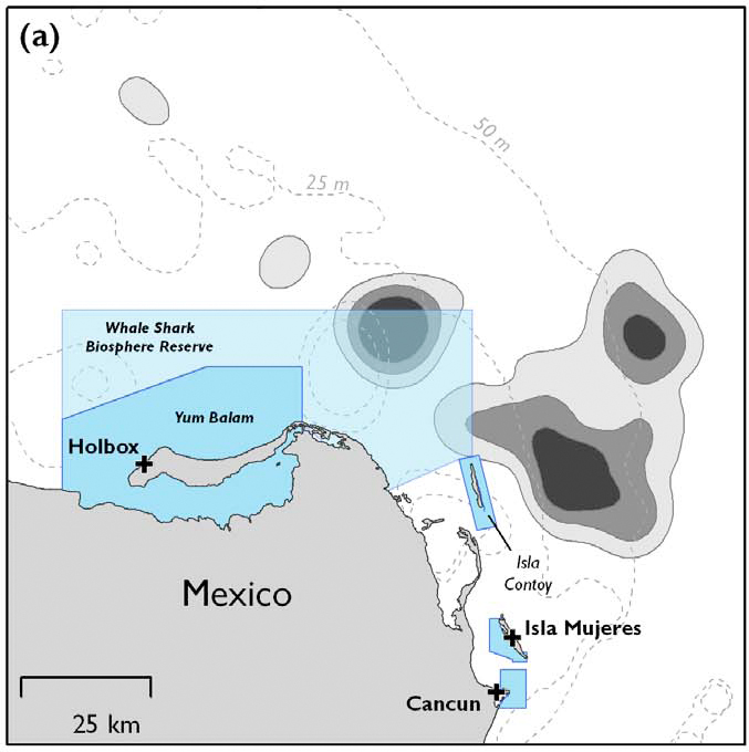 Sciency Thoughts Satellite tracking Manta Rays off the coast of Mexico.