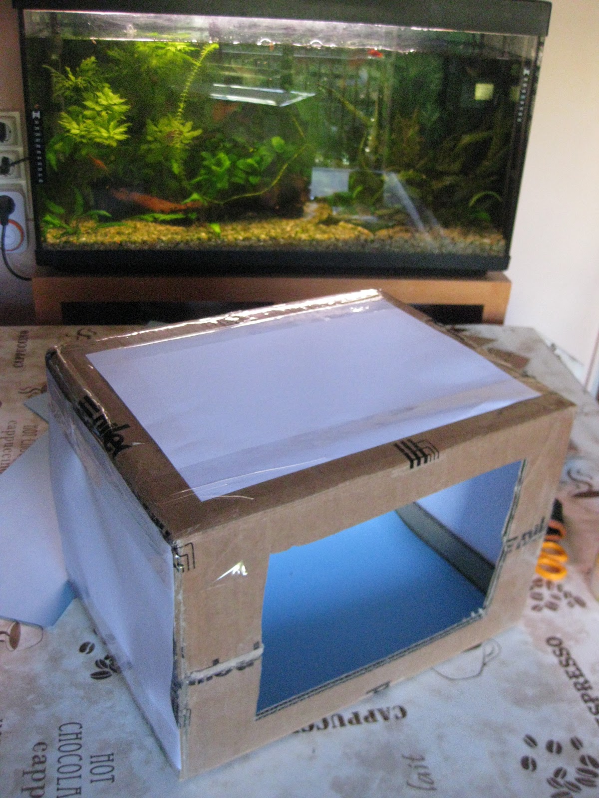 La taberna de Hlout-wig: Caja de luz