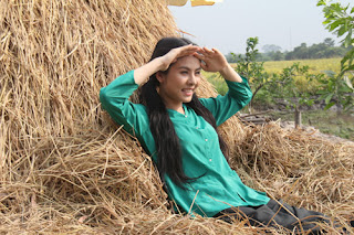 song dai