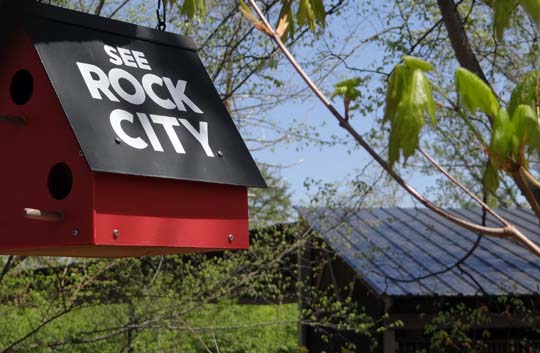 Dogwood City Water Enterprise Fund Dogwood City Water Enterprise Fund