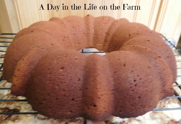 a day in the