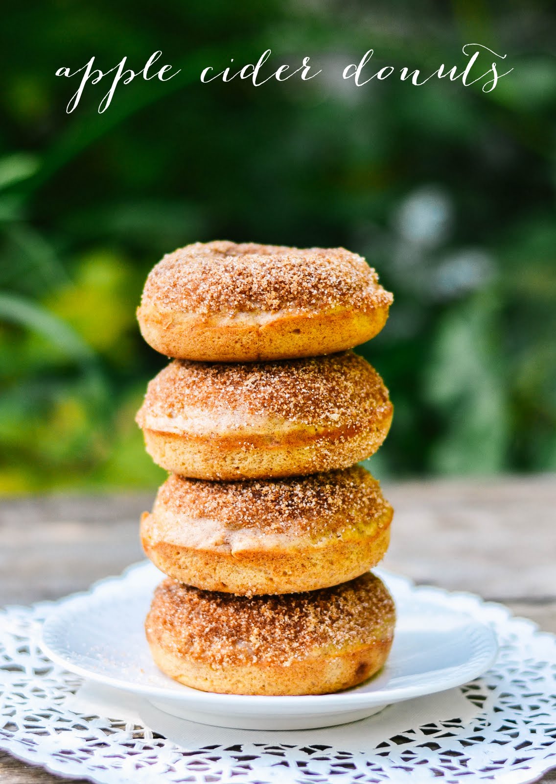 baked apple cider doughnuts recipe dishmaps baked apple cider doughnuts recipe dishmaps