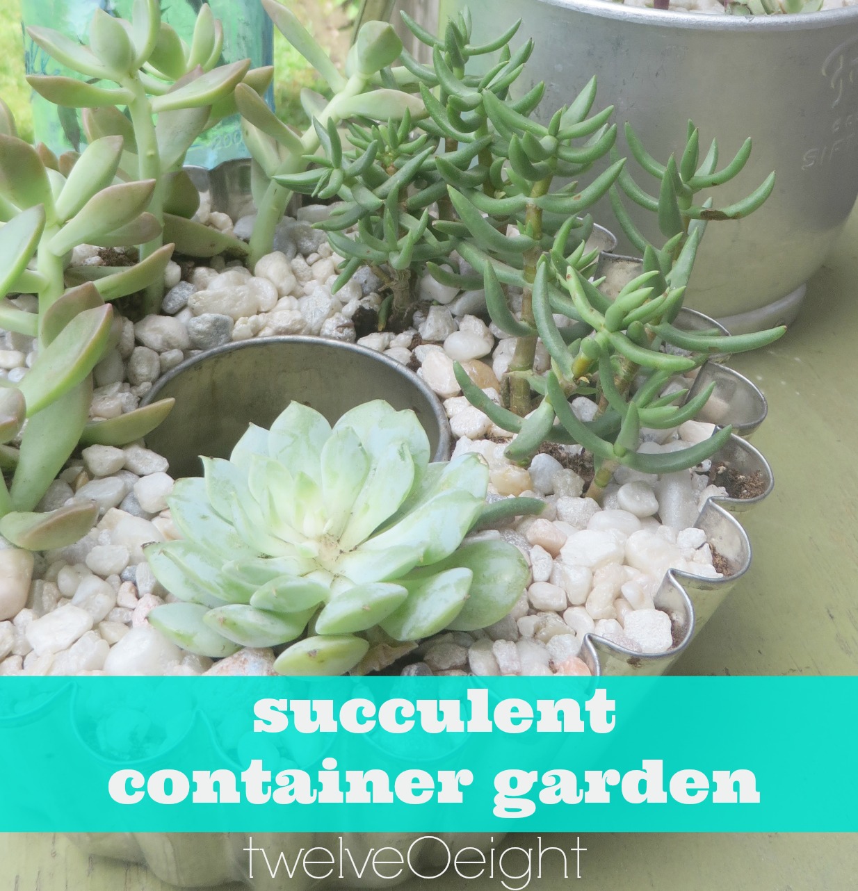 DIY Succulent Container Garden