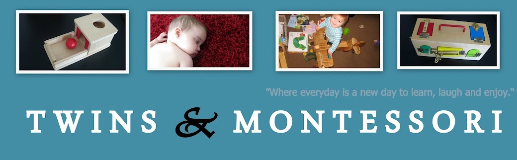 Twins and Montessori