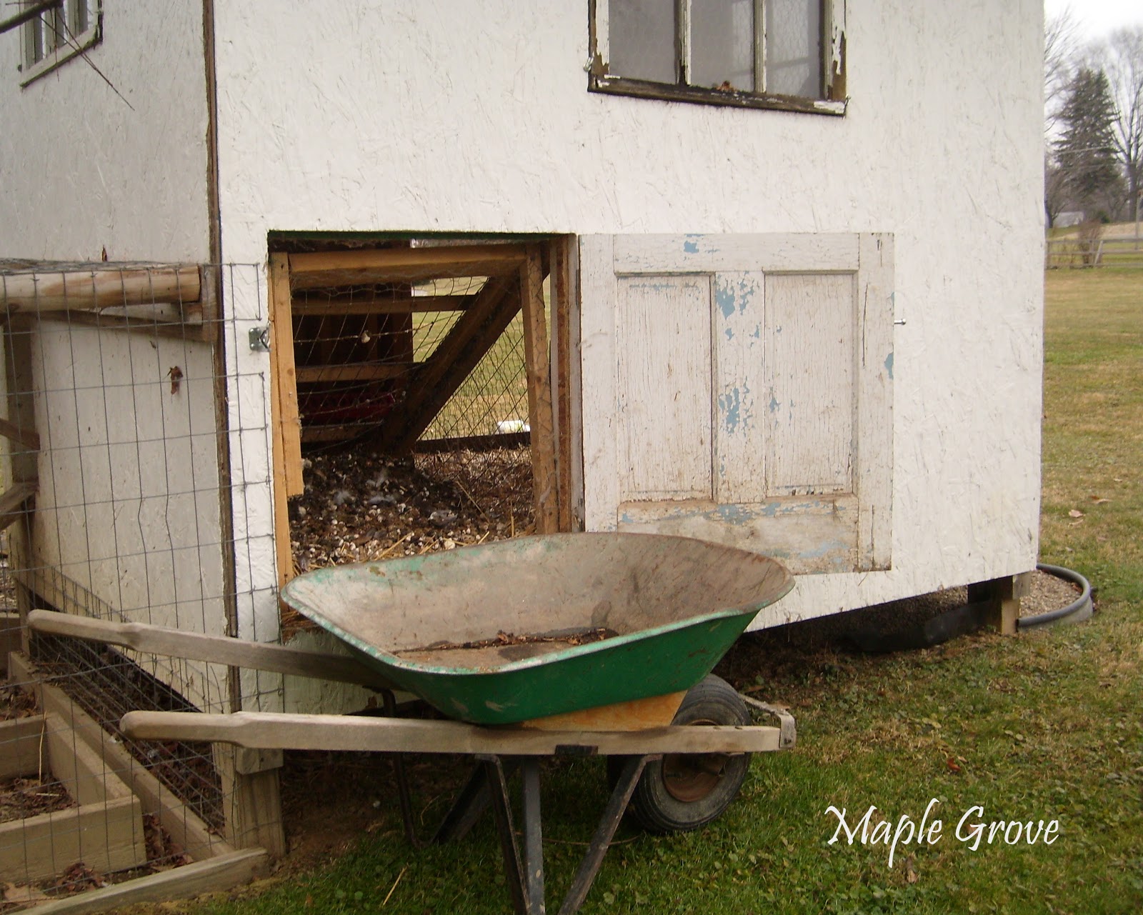 Maple Grove Cleaning the Hen House