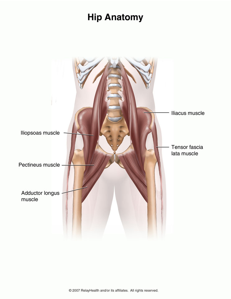 Snapping Hip Syndrome Central Texas Orthopedics Patient Resource
