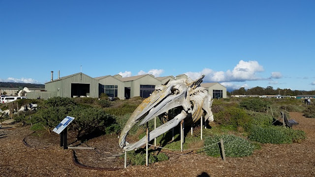 Seymour Marine Discovery Center