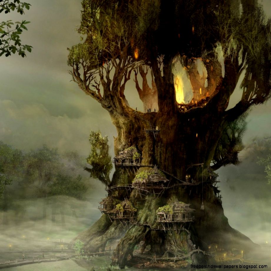 Exotic trees iPad Backgrounds Best iPad Wallpaper Wallpaper Exotic trees iPad Backgrounds Best iPad Wallpaper Wallpaper