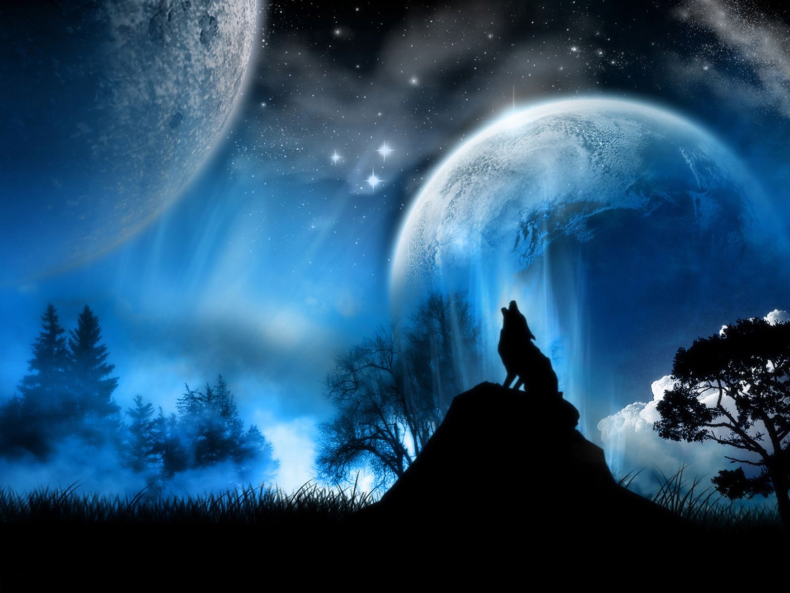 Black Wolves Howling