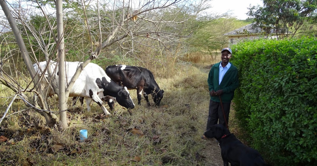 The Mufindi Children's Project
