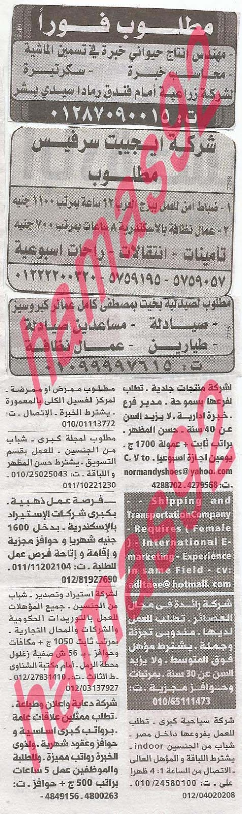 وظائف خالية فى جريدة الوسيط الاسكندرية السبت 24-08-2013 %D9%88+%D8%B3+%D8%B3+2