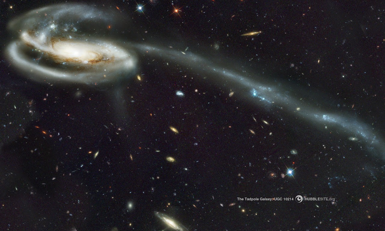 A Lifestyle of Peace Philosophy, Jesus Christ & Apologetics Imagine a