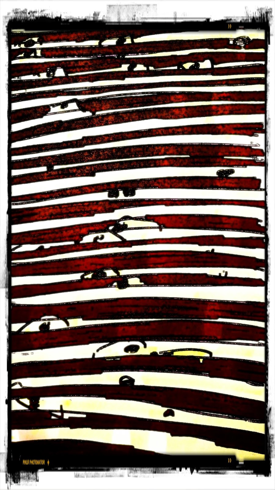 Suceava Und Der Spargel Www Kultro De