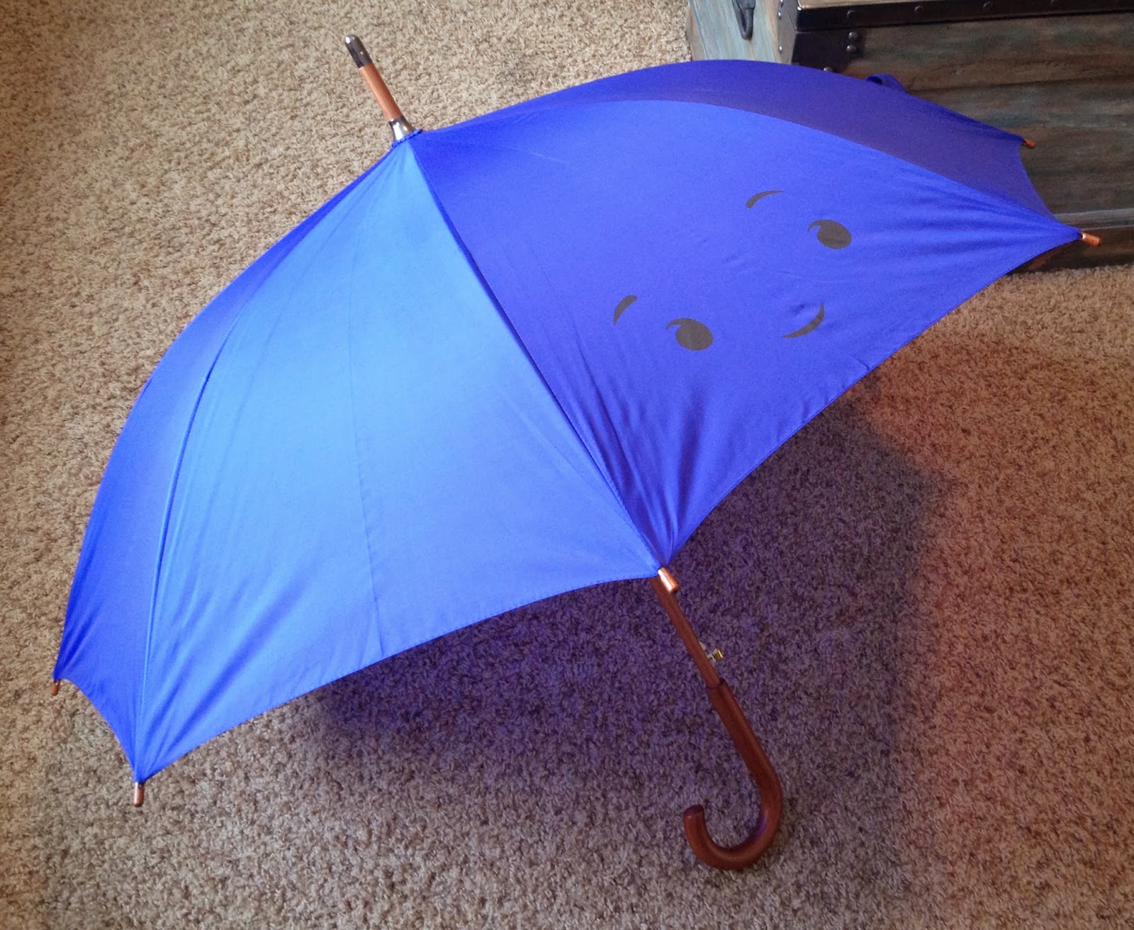 Dan the Pixar Fan The Blue Umbrella Umbrella Replica (Pixar Studio Store)