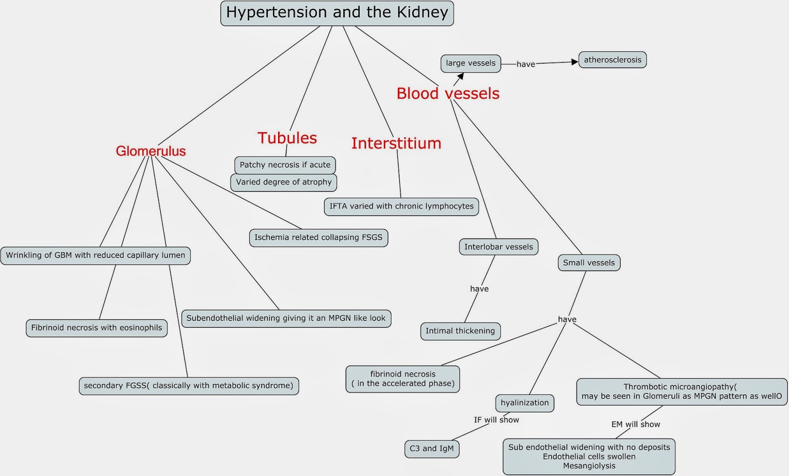 Concept Map: Pathology findings in Hypertension and the Kidney.