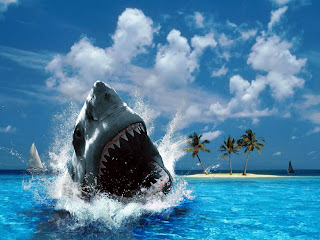 shark and palm trees computer desktop wallpaper