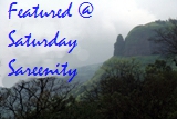 Saturday Sareenity