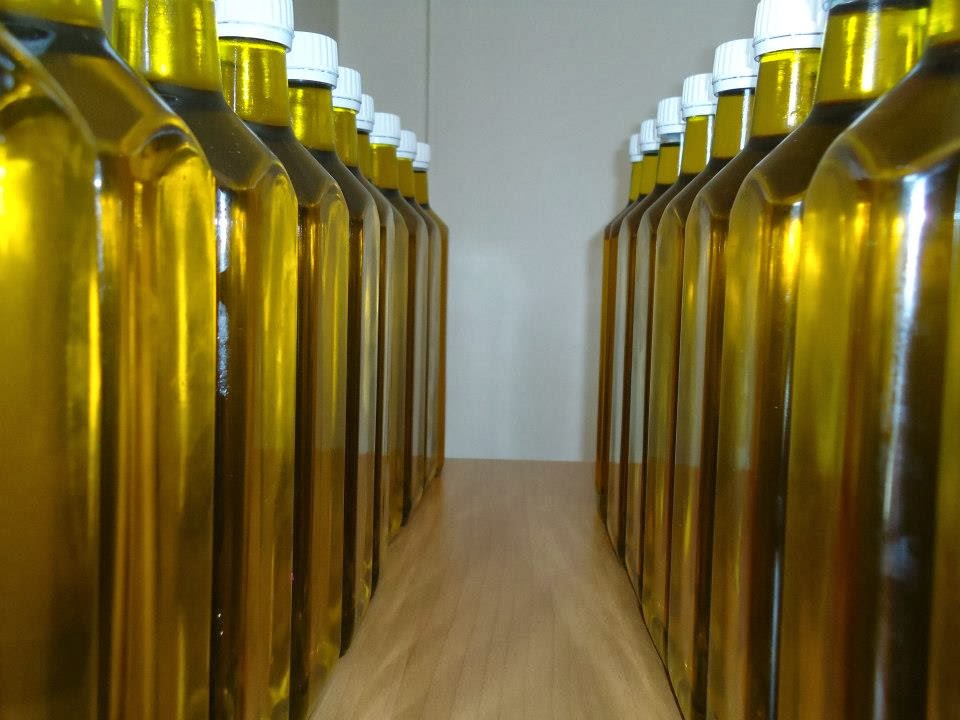 dogal anneyim blogger